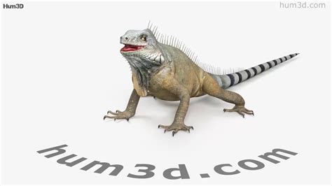 Cari Model 3D Iguana di Bahasa Indonesia