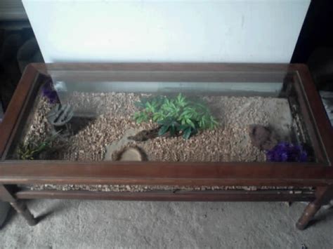 Sublimez vos espaces avec nos tables basses rondes, tables basses marbre. Troc Echange TABLE BASSE / VIVARIUM sur France-Troc.com