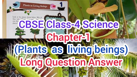 Cbse Class 4 Science Chapter 1plants As Living Beingslong Question