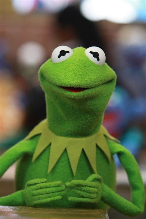 Kermit the frog is a muppet character created and originally performed by jim henson. Kermit the Frog Tells Who Are the Big Cameos in 'Muppets ...