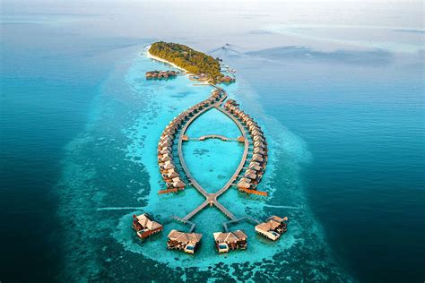 Best Luxury Resorts For A Dive Holiday In The Maldives Zublu