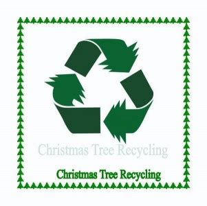 Christmas Tree Recycling Ronbeitler Com