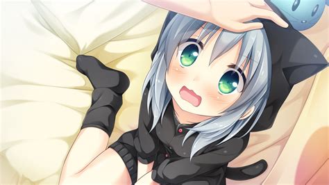 hình nền hình minh họa tóc dài nekomimi anime cô gái mắt xanh hoạt hình tóc đen cuốn