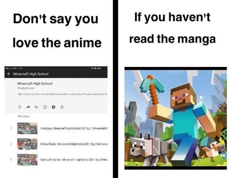 Don't waste your diamonds on a hoe. Minecraft is my favorite anime
