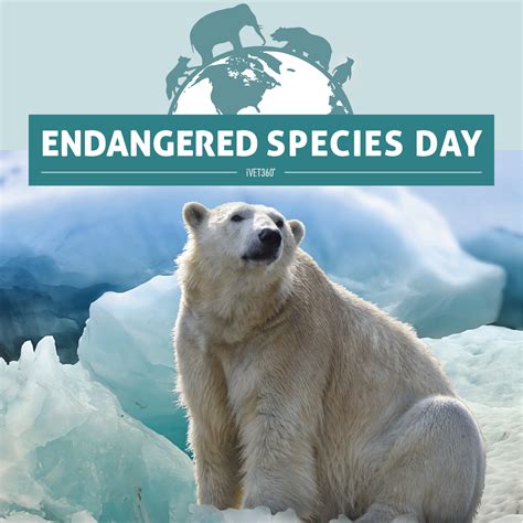 Endangered Species Day May 21 Ivet360 Social Calendar