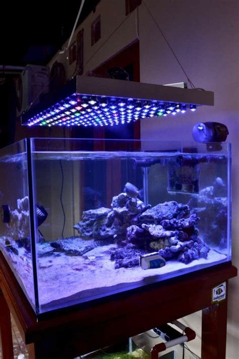 Lalu, lampu khusus aquarium apa yang dapat mempercantik dan tidak berbahaya bagi ikan? Jual lampu aquarium / akuarium laut reef - Kab. Semarang ...