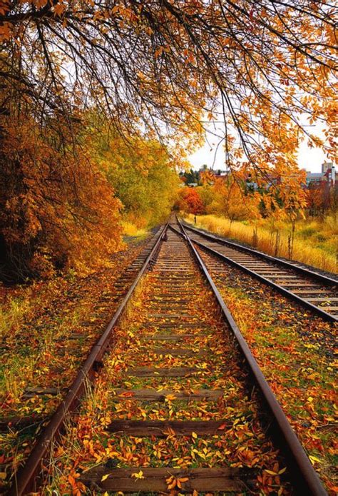 Coming Into The Railroad Station Autumn Landscape Autumn Scenery