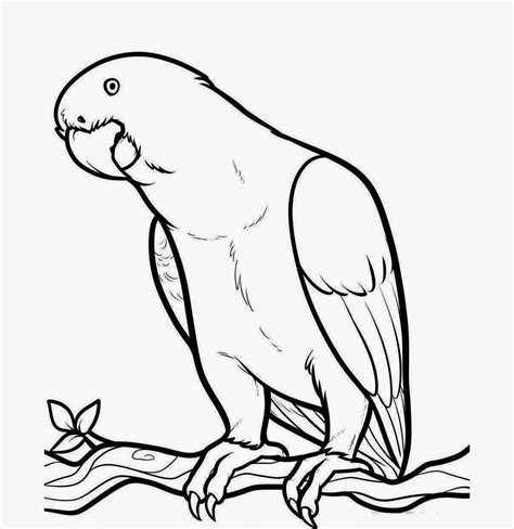 Bird Outline Drawing At Getdrawings Free Download