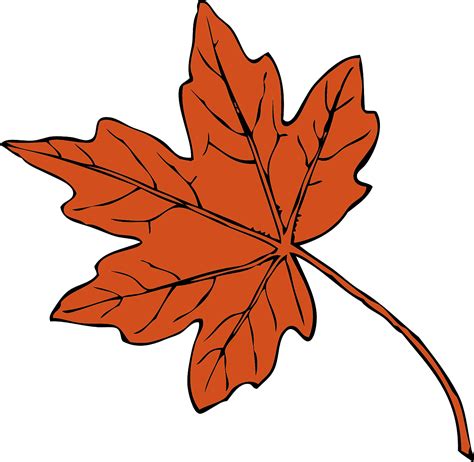 Download Leaves Clip Art Leaves Clip Art Fall Leaves Clip Art Png Download 5194542