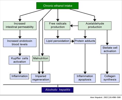 Genetic And Epigenetic Profile Of Patients With Alcoholic Liver Disease