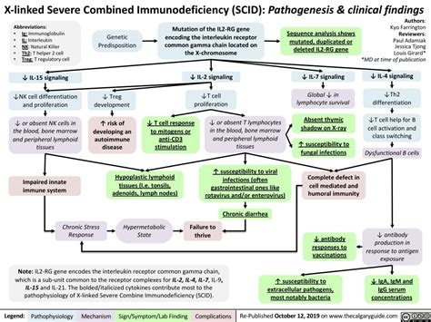 X Linked Severe Combined Immunodeficiency Pathogenesis And Clinical