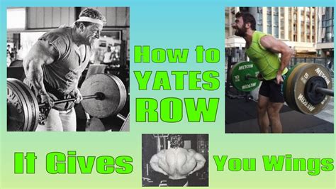 How To Yates Row Insane Total Back Developer Youtube
