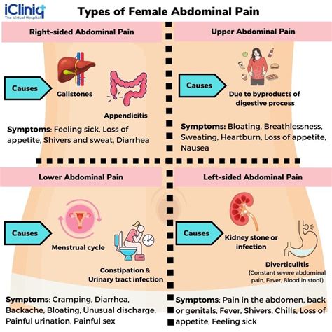 Abdominal Pain Female Diagram