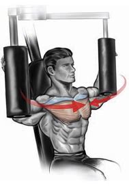 Despite it's popularity, few people know. Chest day : The complete pectoralis workout guide ...