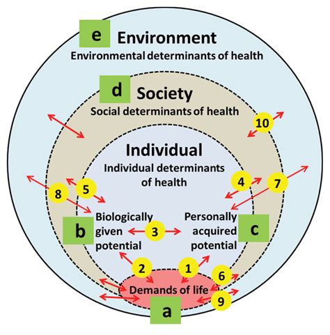 Health As A Complex Adaptive System A New F1000research