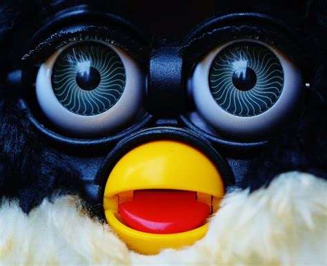 Hd Wallpaper Furby Cute Blue Eye Soft Toy Toys Children Funny