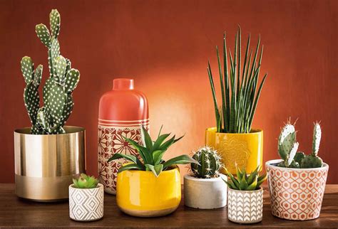 Vasi da giardino, fioriere, vasi per piante da interno, moderni, di design o realizzati in plastica. Portavasi per le piante in casa: idee per arredare interni - Cose di Casa
