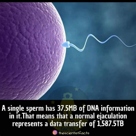 Pin On Sperma