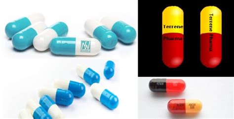 Figure 6 Different Types Of Capsules Saintytec