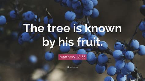 Matthew 1233 Quote “the Tree Is Known By His Fruit”