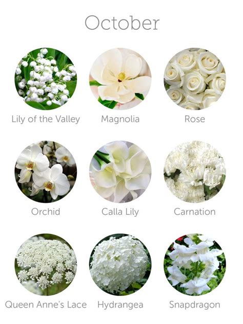Maybe you would like to learn more about one of these? Wedding Budget Tip #16: Choose In-Season Flowers | October ...