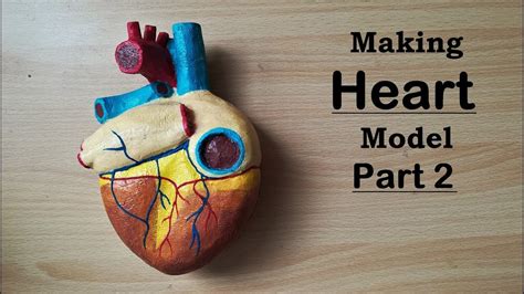 Making Human Heart Model Part 22 Youtube