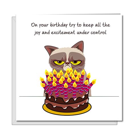 Grumpy Cat Birthday Card Funny Humorous Fun Grouchy Etsy Uk