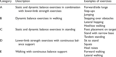 Collection Of Exercises Categories And Examples Download Scientific