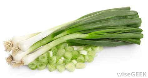 A lot of sites on different topics. What are Green Onions? (with pictures)