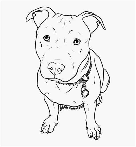 American Pit Bull Terrier Puppy Drawing Cute Pitbull Drawing Easy Hd