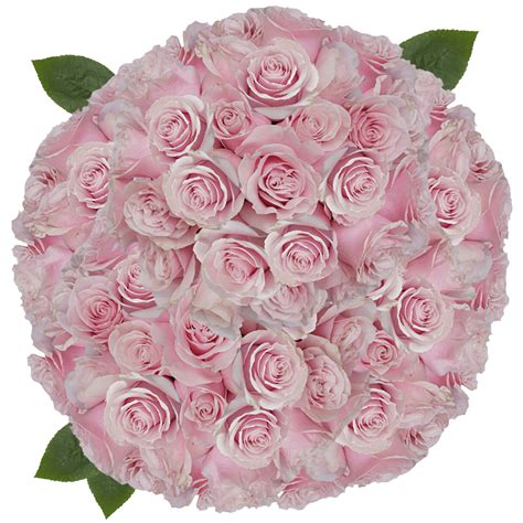 Light Pink Mondial Roses Free Online Delivery Globalrose