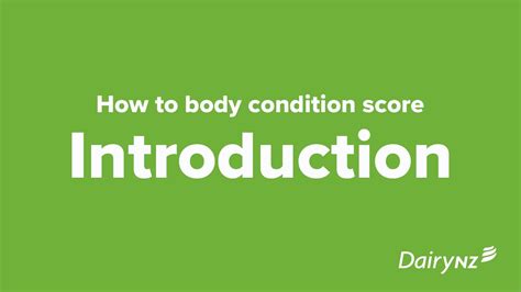 DairyNZ Body Condition Scoring Introduction YouTube