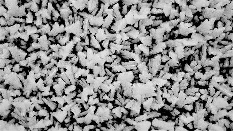 Wallpaper Frost Ice Crystals Winter Black And White Hd
