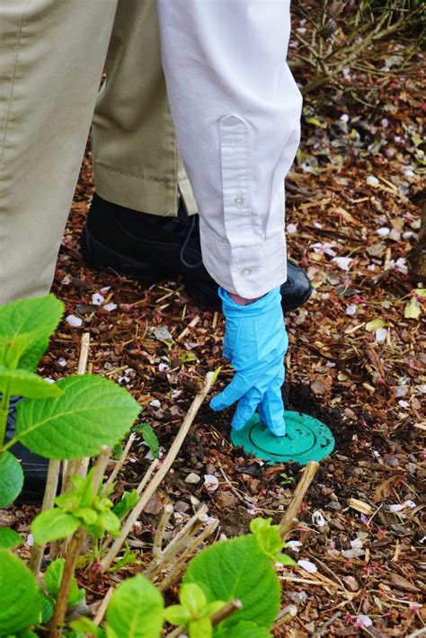 We will do a rodent service every 5 weeks anytime of the year, until your rodent problem is gone. Spring Cleaning... Protecting Your Home with Orkin | Hello ...