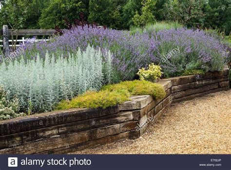 Image Result For Lavender Raised Bed Sleeper Sleepers In Garden