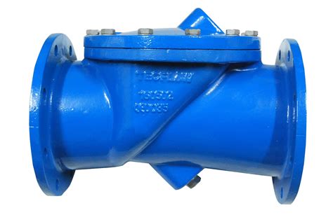 Ductile Iron Swing Check Valve With Flanged Pn1016 Ends Avs