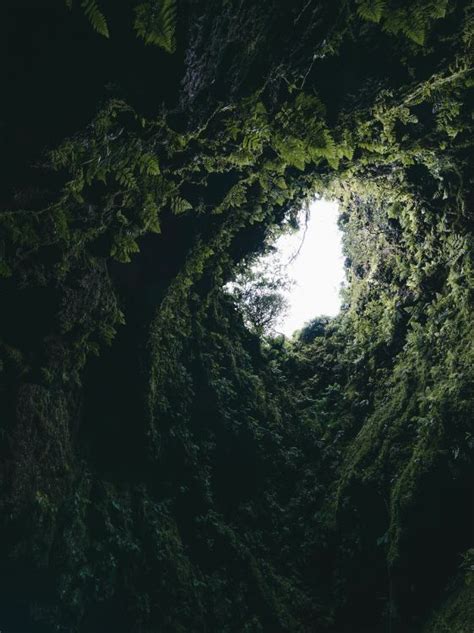 Les Fonds Décran Green Formation Forêt Obscurité Grotte Les