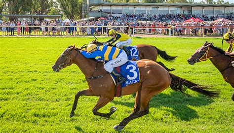 Racedays Magic Millions