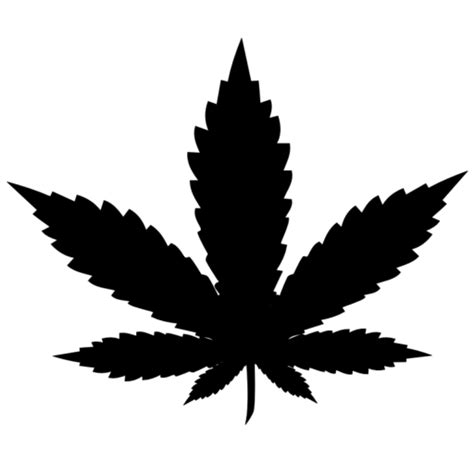 SERVICES – The Garden Cannabis Co. png image