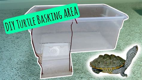 Homemade Turtle Tank Basking Area Ideas Turtle Diy Basking Area Dock