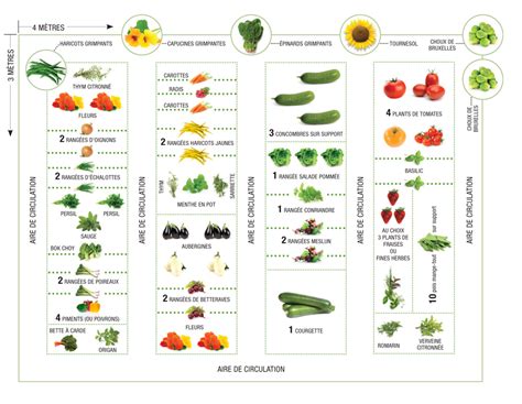 Potager Pour 4 Plan Potager Jardin Couvert Blog Jardin