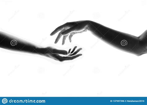 Pair Of Hands Stock Photo Image Of Idea Tenderness 137997396