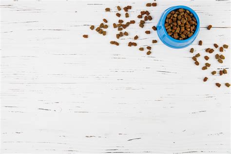 As mentioned earlier, many brands contain as much as 46% to 74% carbs, which takes away from the protein and other healthy ingredients. Low Carb Dog Food | are carbs bad for your dog? - SmartPet