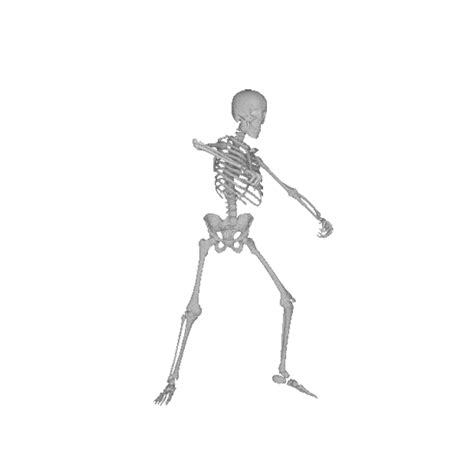 Dancing Skeleton S Dank Memes Amino