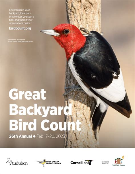 Posters Great Backyard Bird Count