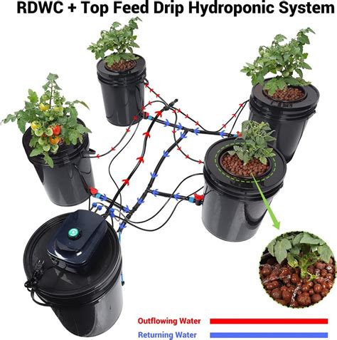 Hydroponic Gardening On A Budget Creating A Thriving 5 Gallon Bucket