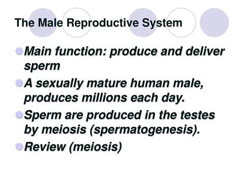 Ppt Human Reproduction Powerpoint Presentation Free Download Id593378