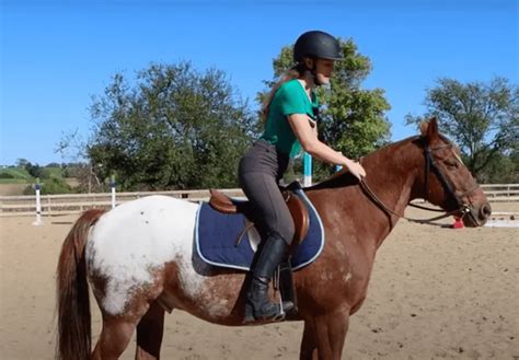 How To Ride The Canter Step By Step Guide
