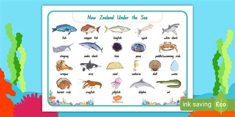 New Zealand Under The Sea Word Mat Teacher Made
