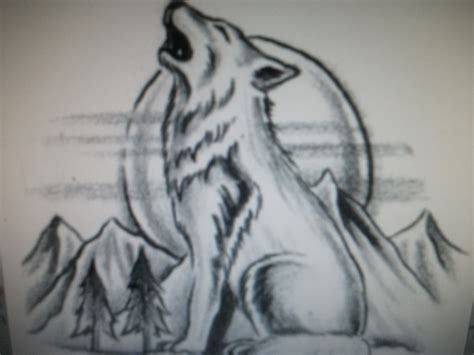 Wolf Howling At The Moon Drawing In Pencil At Getdrawings Free Download